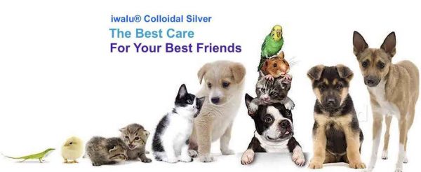 iwalu iwalu Colloidal Silver Liquid Immune Support Nano Silver Water Immunity Support or Silver Water Colloidal Silver Spray or Bioactive Silver Solution or Dog and Cat Safe or Adults Kids Immune Booster 4 Oz