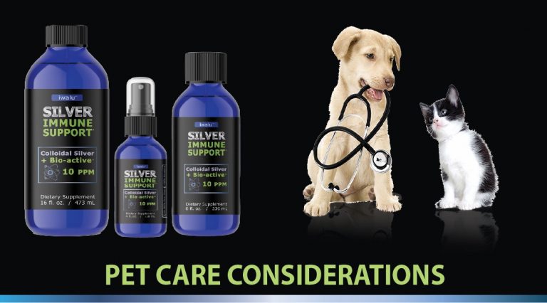 colloidal-silver-for-dogs-cats-pets-veterinary-recommended-treatment-infection-skin-hot-spots-kennel-cough