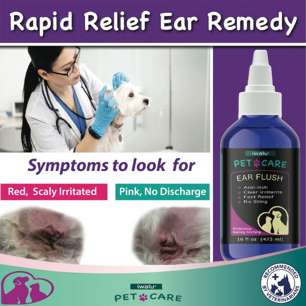 Dog ear cleaner infection treatment cleaner solution wash drops kit